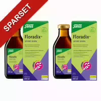 Floradix Sport Eisen Tonikum