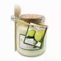 Florex Badesalz Olivenöl Glas mit Holzlöffel 300 g