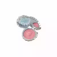 Flowerknows Shells Jewel Silk Satin Blush 5g 03 Coral Seashell