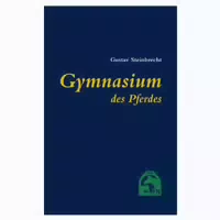 Gymnasium Des Pferdes