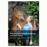 Pferdeführerschein Umgang Mit Dem Pferd
