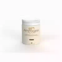 Aminocarin Pulver Dose 400 G Pulver