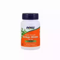 Now Foods Ginkgo Biloba Doppelte Stärke 120 mg