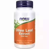 Now Foods, Olivenblatt Extrakt Olive Leaf Extract , 500mg
