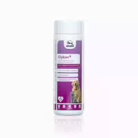 Glykan Pulver – Unterstützung für Bindegewebe & Gelenke 300 g
