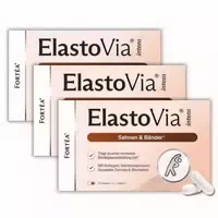 Fortea Elastovia Intens – Sehnen & Bänder