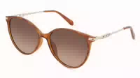 Fossil 2137 g S 1er Packung