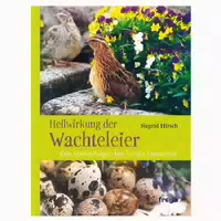 Heilwirkung Der Wachteleier