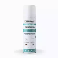 Frohbach Kühlspray 300 ml Transparent, 1 Stück 300 ml