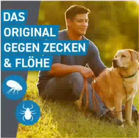 Frontline Spot On Hund m 10 20 kg 3 Pipetten
