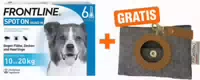 Frontline Spot On Hund m 10 20 kg 6 Pipetten Gratis Frontline Hundekotbeutelspender