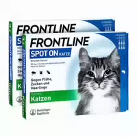 Frontline Spot On Katze