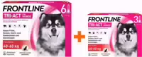 Frontline Tri Act Hund 40 60 kg 3 6 Pipetten