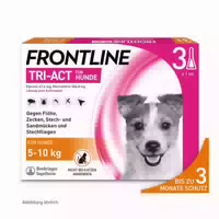 Frontline Tri Act gegen Zecken, Flöhe und Fliegende Insekten für Hunde S 5 10 kg 3 st Lösung