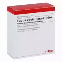 Fucus Vesiculosus Injeel Ampullen 10 st
