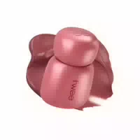 Fwee Rose Obsession Stay Fit Lip Tint 4g Mn03 Dried Rose