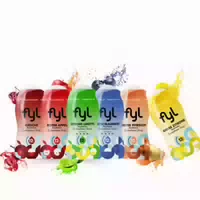 Fyl Zuckerfreier Sirup Starterset