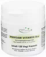 Pangam Vitamin B15 Kapseln 120 st