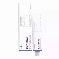 Excipial Lipocreme Reichhaltige Pflege 100 Ml Creme