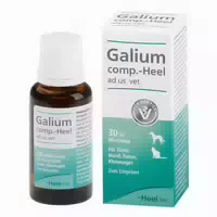 Galium Comp Heel 30 ml Tropfen für Hunde und Katzen und