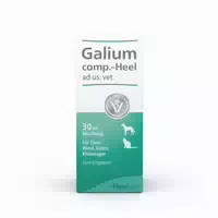 Galium Comp Heel Tropfen Für Hunde Katzen Kleinnag