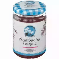 Kombucha Teepilz 1 st