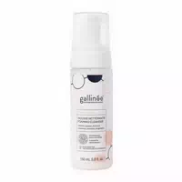 Gallinée Face Foaming Cleanser Sanfter Reinigungsschaum mit Feuchtigkeitsspendenden und Hautbarrierestärkenden Eigenschaften Auch für zu Ekzemen Neigende Haut Geeignet