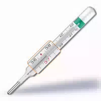 Gallio Vedoeco Plus Pic Thermometer