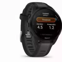 Garmin Forerunner 165 Smartwatch Schwarz, Schiefergrau