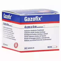 Gazofix Fixierbinde Kohäsiv 4 Cmx4 M