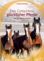 Das Geheimnis Glücklicher Pferde Was Sie Wirklich Brauchen