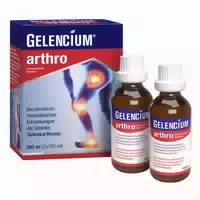 Gelencium Arthro Mischung 2x100 ml