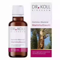 Gemmo Mazerat Mammutbaum Dr Koll Sequoia Gigantea