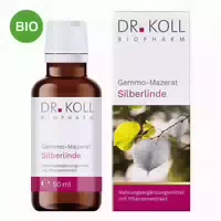 Gemmo Mazerat Silberlinde Dr Koll Tilia Tomentosa