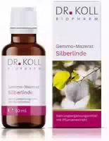 Dr Koll Gemmo Mazerat Silberlinde Dr Koll Tilia Tomentosa