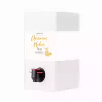 Genüssle Ananas Kokos Sirup