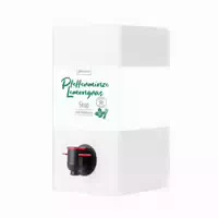 Genüssle Pfefferminze Lemongras Sirup