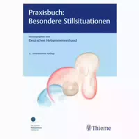 Praxisbuch: Besondere Stillsituationen 1 St