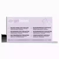 Gettested Blutgruppen Test Für Katzen 1 St