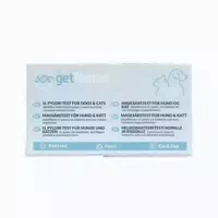 Gettested H Pylori Test Für Hunde Und Katzen 1 St