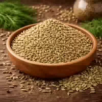 Fenchel Samen Ganz, Fenchelsamen Für Tee, Fenchelgemüse Und Küche Fennel Seeds Whole Insider Glas Style 200 Ml