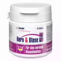 Harn & Blase Unterstützt Gezielt die Gesundheit des Harntrakts Gigi Vet