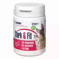 Gigi Vet Stark & Fit für Hunde und Katzen Aktiviert den Fettstoffwechsel Ideal bei Gewichtsreduktion