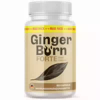 Ginger Burn Forte Kapseln | Pflanzlich | Rein 60 st