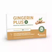 Gingerin Plus Bio Ingwer Kapseln 22 000 mg Ingwerpulver
