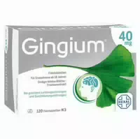 Gingium 40mg 30 St Filmtabletten