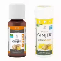 Ginjer Ingwerkraft Set