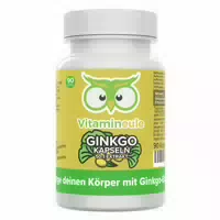 Vitamineule Ginkgo Kapseln 120 mg 50:1 50 g