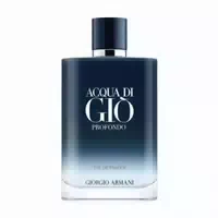 Giorgio Armani Acqua Di Gio 2022 Eau De Parfum 100 ml Neue Vision