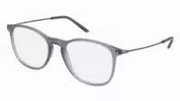 Giorgio Armani Ar7160